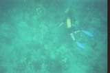 Taylor Scuba Diving 02